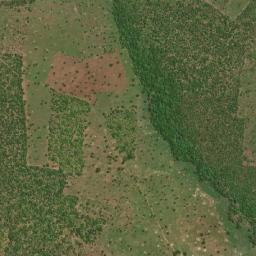 Province de la Comoé map(satellite map)