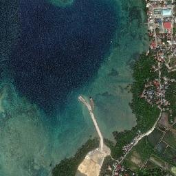 Pinamungahan map(satellite map)