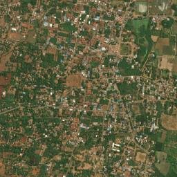 Arimalam map(satellite map)