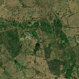 Arjona map(satellite map)