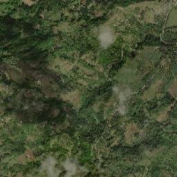 Buenavista map(satellite map)