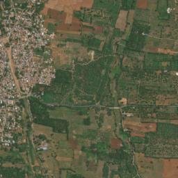 Palamedu map(satellite map)