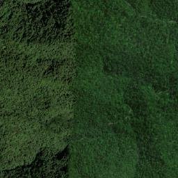 Vázquez de Coronado map(satellite map)