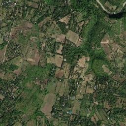 Cogon map(satellite map)