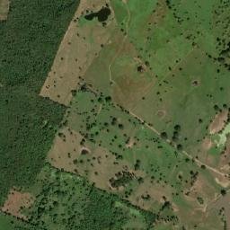 El Guamo map(satellite map)