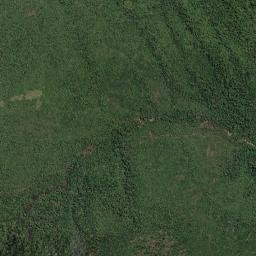 Province of Palawan map(satellite map)