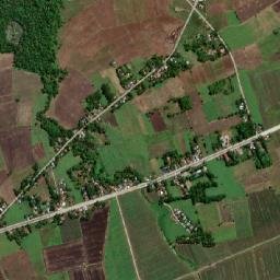 Consuelo map(satellite map)