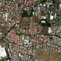 Flores map(satellite map)