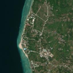 Saavedra map(satellite map)