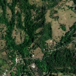 Desamparados map(satellite map)