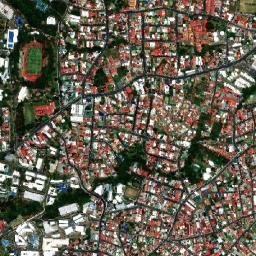 Sabanilla map(satellite map)