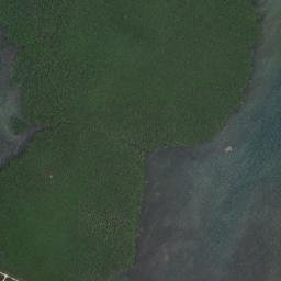 San Isidro map(satellite map)