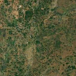 Holma map(satellite map)