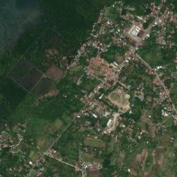 Badian map(satellite map)