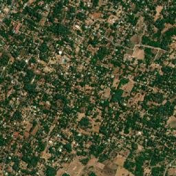 Point Pedro map(satellite map)