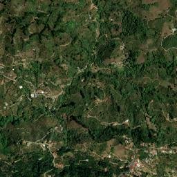 Pacayas map(satellite map)