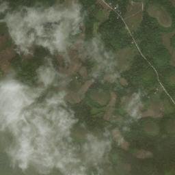 Nueva Vida Sur map(satellite map)