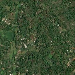 Palackattumala map(satellite map)