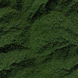 Paraíso map(satellite map)
