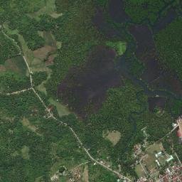 Tagana-an map(satellite map)
