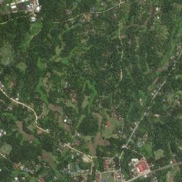 Corella map(satellite map)