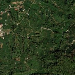 Dota map(satellite map)