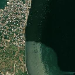 Tiruppalaikudi map(satellite map)