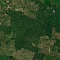 Amphoe Chaiya map(satellite map)