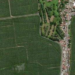 Changuinola map(satellite map)