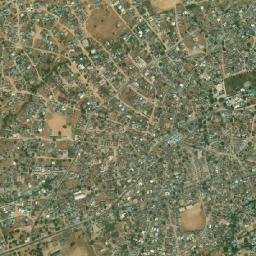 Dengi map(satellite map)
