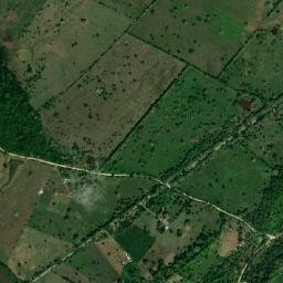 Palmito map(satellite map)