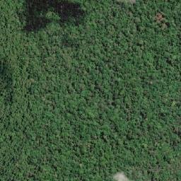 Isla Bastimentos map(satellite map)