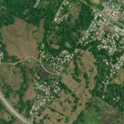 Buena Vista map(satellite map)