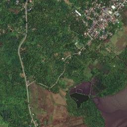 Tigao map(satellite map)