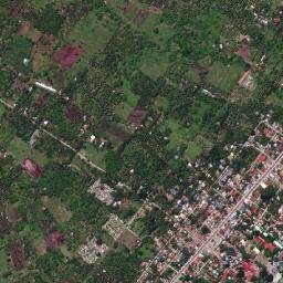 Dauin map(satellite map)