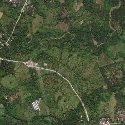 Del Pilar map(satellite map)