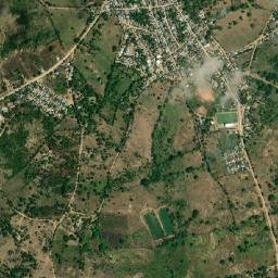 El Roble map(satellite map)