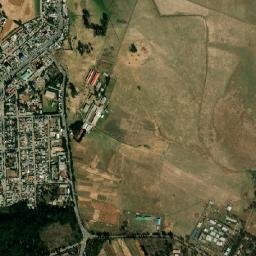 Genet map(satellite map)