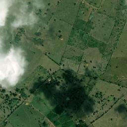 Buenavista map(satellite map)