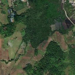 Cagwait map(satellite map)