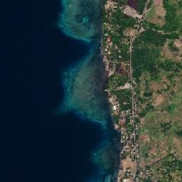 Consuelo map(satellite map)