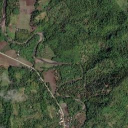 Guinabsan map(satellite map)