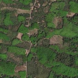 Amphoe Phanom map(satellite map)