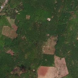 Amphoe Ban Na San map(satellite map)