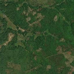 Masingbi map(satellite map)