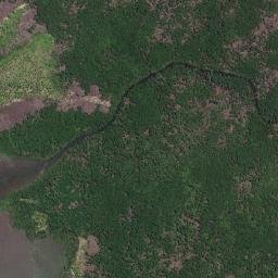 Panalingaan map(satellite map)