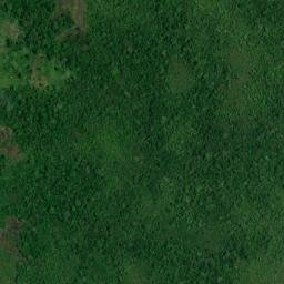 Distrito de Chimán map(satellite map)