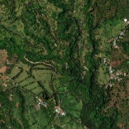 Palmira map(satellite map)