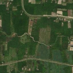 Amphoe Tha Sala map(satellite map)