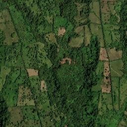 Distrito de Bugaba map(satellite map)